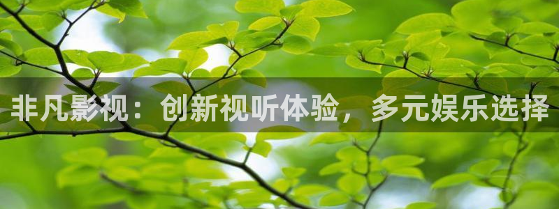 青柠免费观看在线高清电视剧：非凡影视：创新视听体验，多元娱乐选择