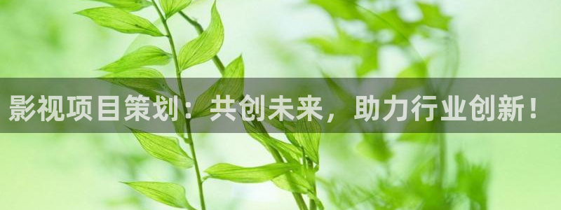 青柠视频在线播放：影视项目策划：共创未来，助力行业创新！