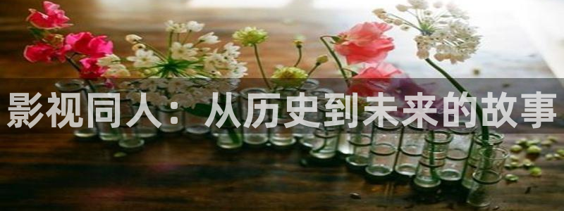 青柠影院在线观看免费高清完整版电视：影视同人：从历史到未来的故事