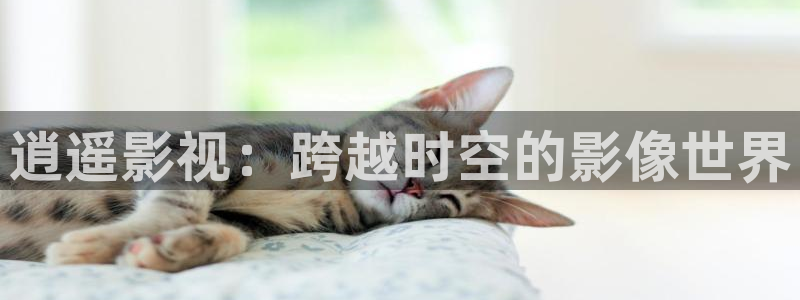 青柠影院电视剧免费播放：逍遥影视：跨越时空的影像世界