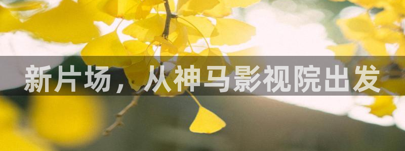 青青河边草青柠影院：新片场，从神马影视院出发
