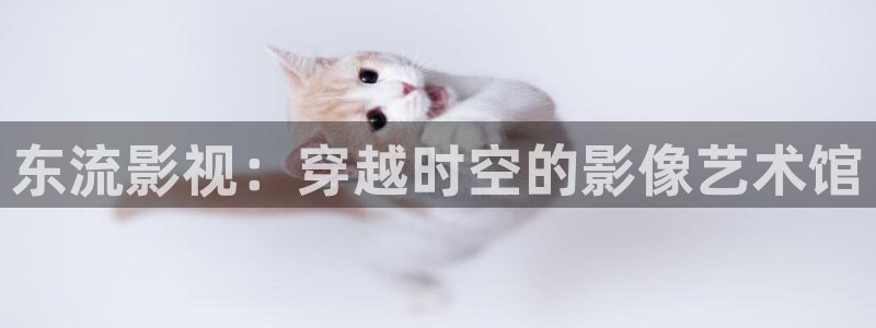 青柠影院电视剧免费观看完整版：东流影视：穿越时空的影像艺术馆