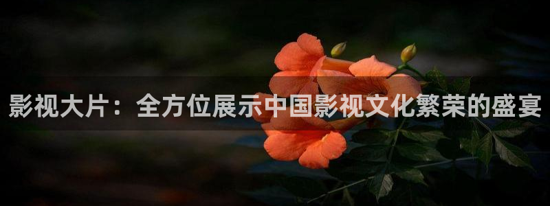 青柠影院在线观：影视大片：全方位展示中国影视文化繁荣的盛宴