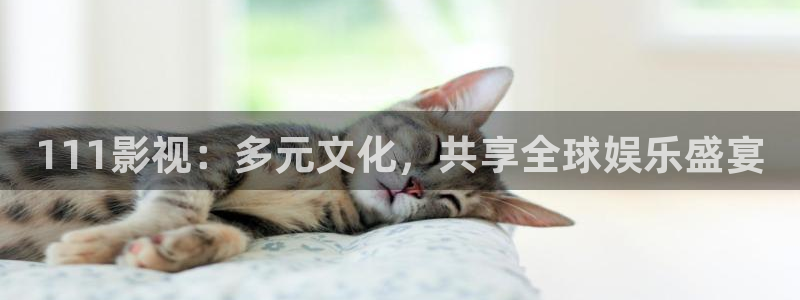 青柠免费影视：111影视：多元文化，共享全球娱乐盛宴